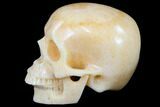 Realistic, Polished Picasso Jasper Skull #116709-2